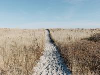 Life Coaching Frankfurt | Hanau | Rhein-Main