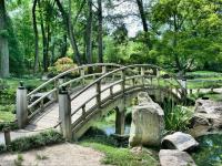 Mediation Frankfurt | Hanau | Rhein-Main